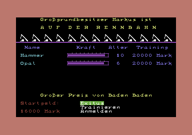 Rennbahn